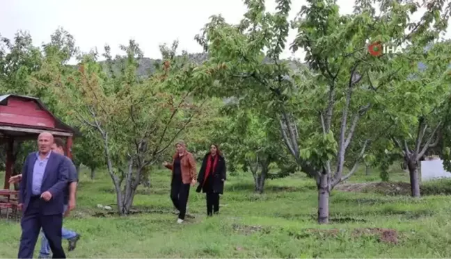 Devlet Desteği ile Meyve Bahçesi Kurdu