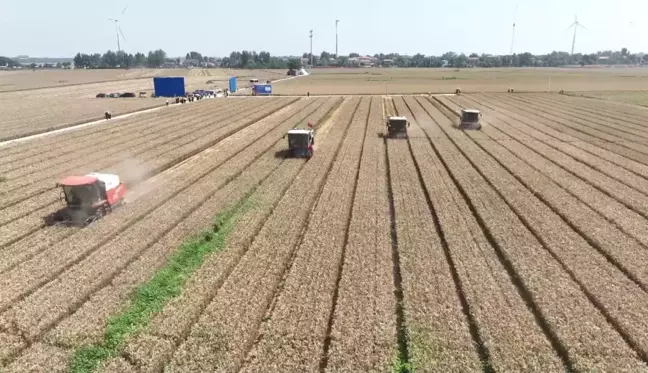 Çin, yaz hasadında tahıl kayıplarını en aza indirmeye çalışıyor