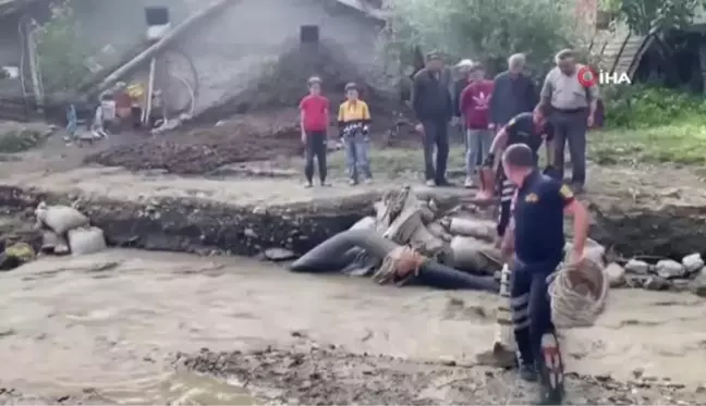 Çatıda mahsur kalan ineği itfaiye ekipleri kurtardı