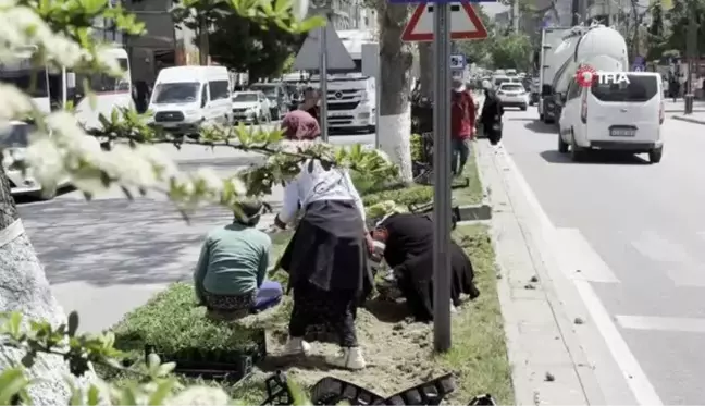 Tatvan kadın eliyle güzelleşiyor