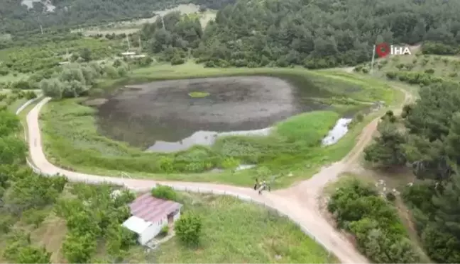 Sülüklü Göl doğa ve fotoğraf tutkunlarının uğrak noktası oldu