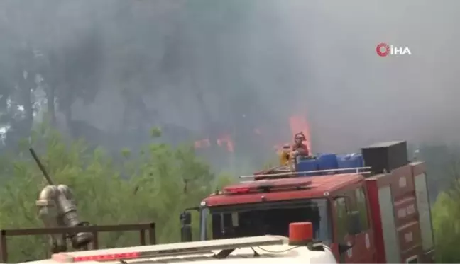 Antalya'da konteyner yangını ormanlık alana sıçradı