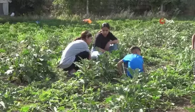 Şırnak'ta Sebze Üretimine Destek Projesi