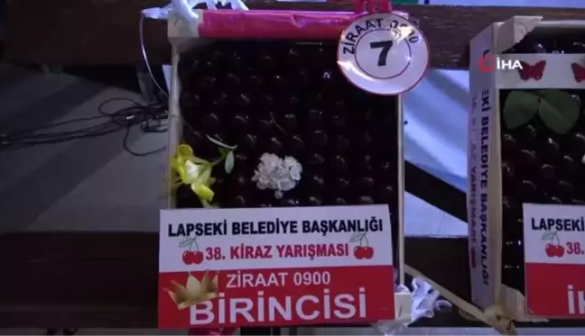 Lapseki Belediyesi 38. Kiraz Festivali'nde Cengiz Kurtoğlu coşkusu yaşandı