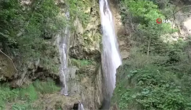 Tapulu arazisinde bulunan şelaleyi turizme kazandırdı