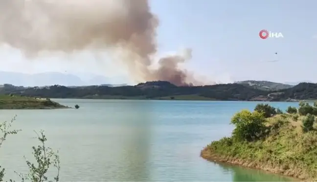 Adana'da orman yangını: Havadan ve karadan müdahale başladı