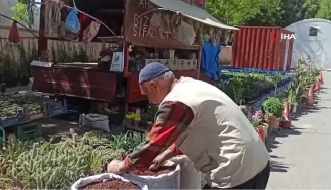 Çiçekçi Dede, Kendi Yetiştirdiği Fidelerle Ekonomik Gelir Elde Ediyor