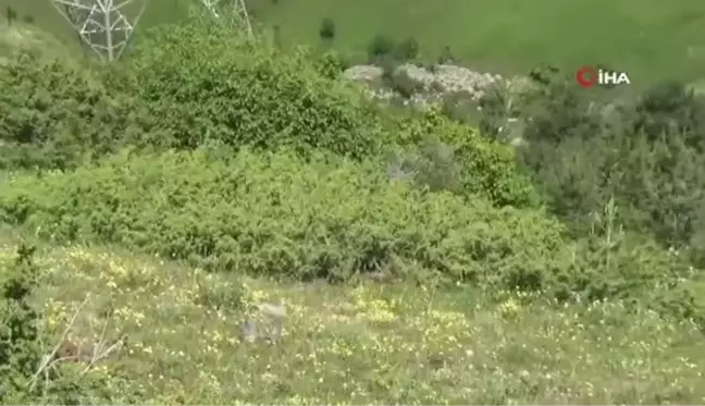 İspir'de otomobil şarampole yuvarlandı: 1 ölü, 2 yaralı