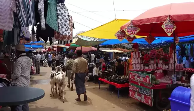 Yeni Delhi'deki Keçi Pazarı Kurban Bayramı İçin Hareketlendi