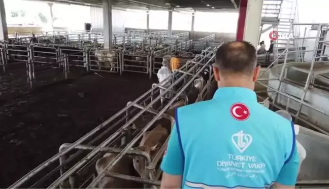 TDV, Kurban Bayramı'nda 600 bin hisseyle 25 milyon insana ulaşmayı hedefliyor