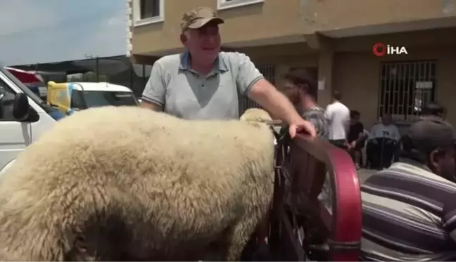 Adana usulü kurbanlıklar taşındı