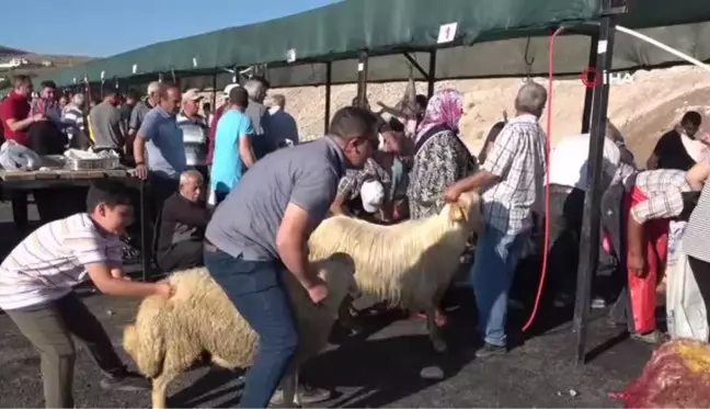 Bayram namazından çıkan vatandaşlar kurbanlarını kesti