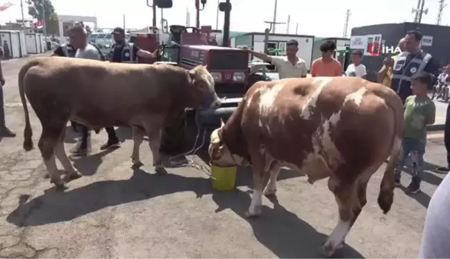 Konteyner kentte hüzünlü Kurban Bayramı