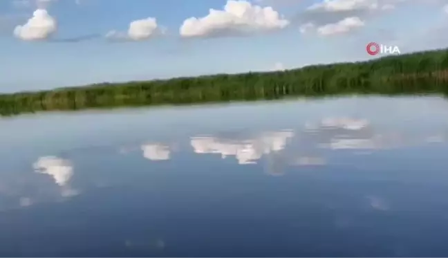 Eber Gölü'nde su seviyesinin yükselmesi ile adacıklar belirgin hale geldi