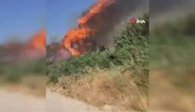 Fırat Nehri Kenarındaki Yangın Ormanlık Alana Zarar Verdi