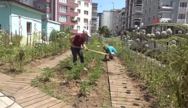 AtaTohum'da yazlık fideler toprakla buluştu