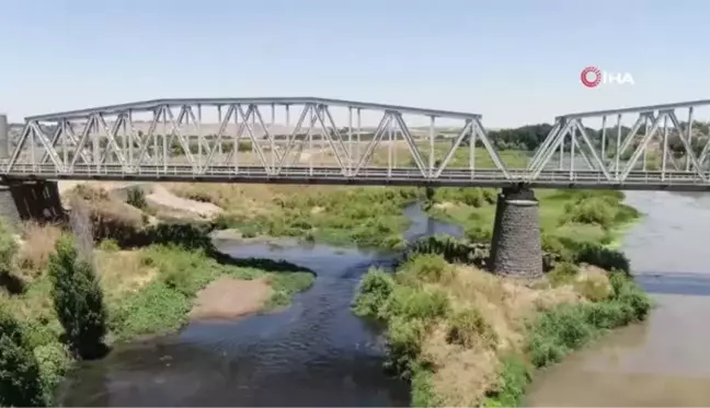 Basra Körfezi'ne kadar giden Dicle Nehri'nde korkutan görüntü