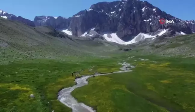 İsviçre Alperi değil, Munzur Dağı'ndaki Merg Yaylası