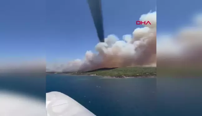 İzmir'de Aliağa ve Menderes ilçelerinde orman yangını çıktı