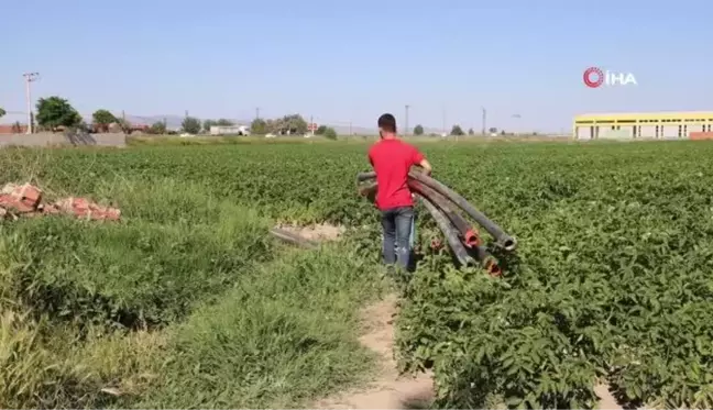 Afyonkarahisar'ın Fenomen Çiftçisi