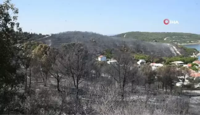 İzmir'deki orman yangınlarında soğutma çalışmaları sürüyor