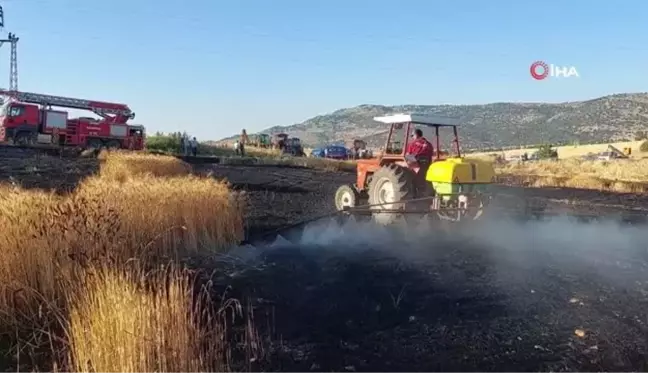 Elektrik direğinden çıkan yangında 8 dönüm arazi kül oldu