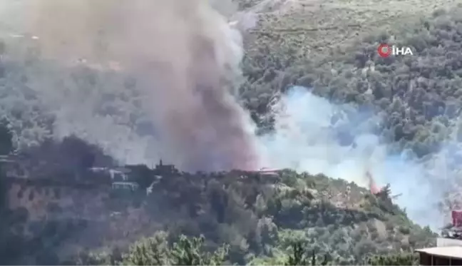 Hatay'da orman yangını: Havadan ve karadan müdahale ediliyor