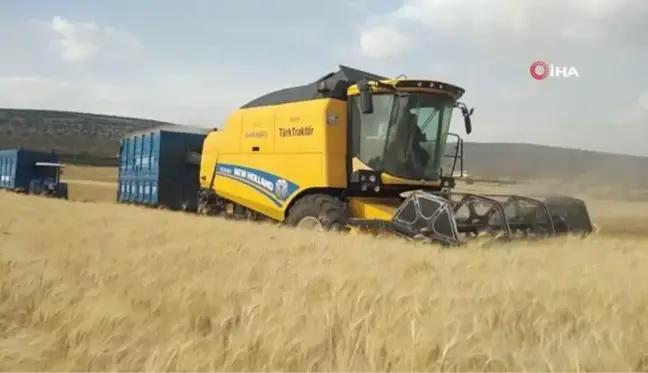 Yavuzeli'nde buğday ve arpa hasadı sürüyor