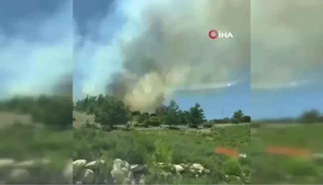 Mersin'deki ikinci orman yangını da kontrol altına alındı