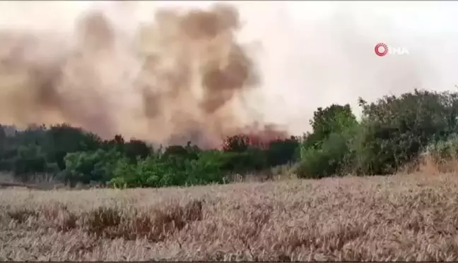 Tekirdağ'da orman yangını: Ormanlık alanda kalan 2 mahalle boşaltılıyor