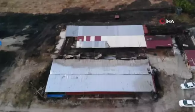 Çanakkale'deki orman yangınlarında çiftliği yandı, 13 büyükbaş ve 10 küçükbaş hayvanı telef oldu