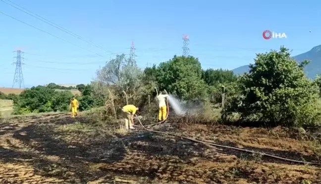 Tarla yangını büyümeden söndürüldü