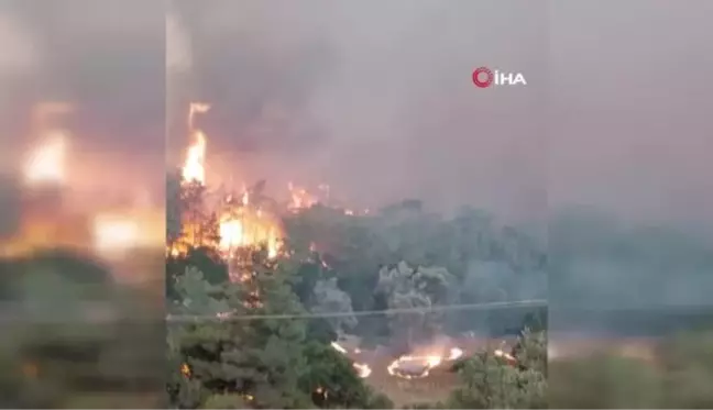 Yunanistan orman yangınlarıyla mücadele ediyor