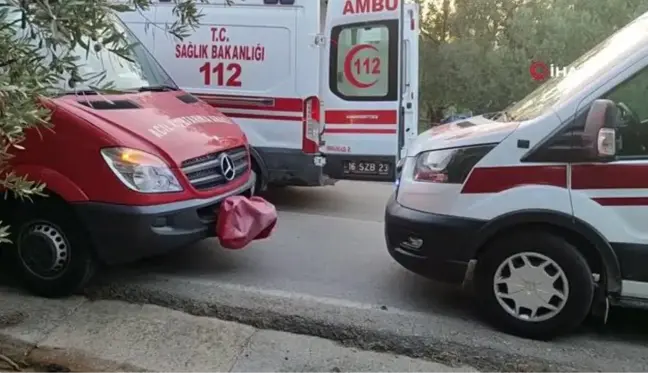 Bursa'da otomobil zeytinliğe uçtu: 1 ölü, 1 yaralı