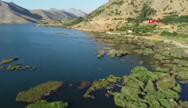 Çat Baraj Gölü'ndeki Yüzen Adalar Sabit Hale Getirildi