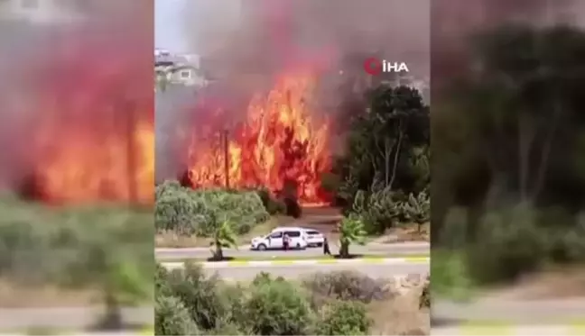 Çalılık alanda çıkan yangın arı dolu kovanları küle çevirdi