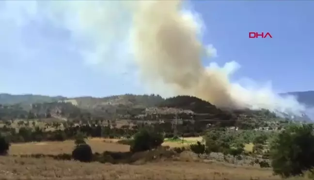 Antakya'da Orman Yangını Çıktı