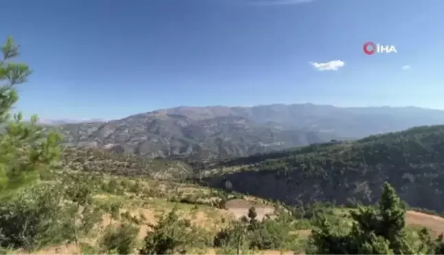 Kahramanmaraş'taki orman yangını söndürüldü