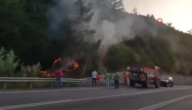 Sakarya'da orman yangını Vatandaş ve ekiplerin erken müdahalesi alevlerin büyümesini önledi