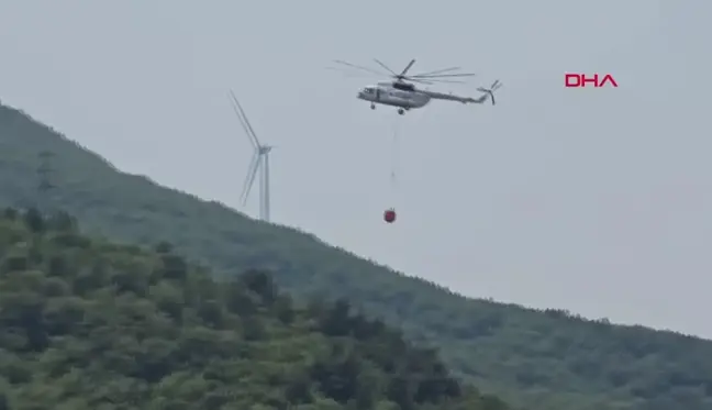 Yalova'da çıkan orman yangını kontrol altına alındı