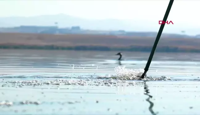 Türkiye'nin deniz ve kıyı suları kirliliği izlenecek