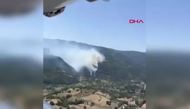 Balıkesir İvrindi'de Ormanda Yangın Çıktı