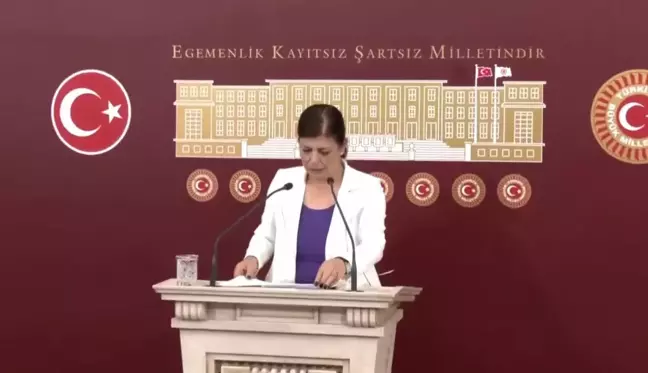 Meral Danış Beştaş: 