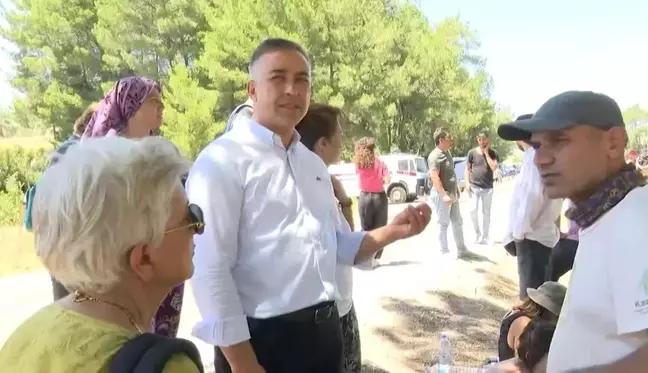 Muğla Akbelen Ormanında Ağaç Kesimi Protesto Ediliyor