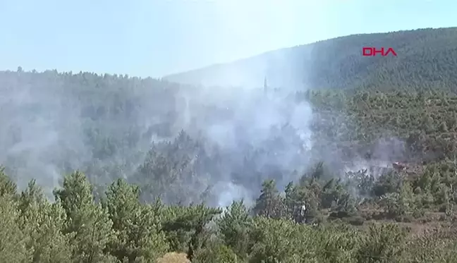 İzmir Güzelbahçe'de orman yangını