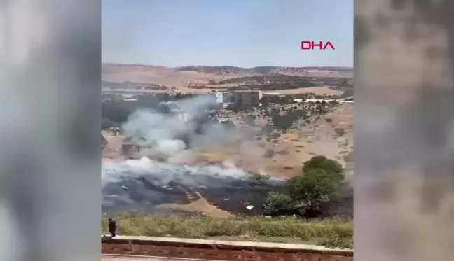 Siirt'te fıstık bahçesinde çıkan yangında 50 ağaç ile 5 dönüm alan zarar gördü