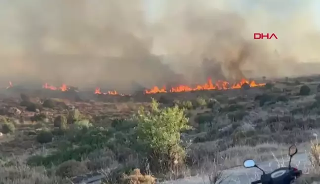 Bodrum'da Otluk ve Makilik Alanda Yangın Çıktı