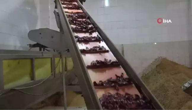 Depremin yıktığı İslahiye'de sanayinin çarkları tekrar dönmeye başladı