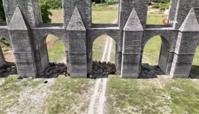 Alibey Barajı'nda sıcaktan bunalan koyunlar gölgeye sığındı