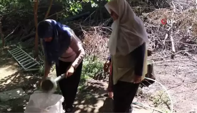 Yüzyıllardır süren geleneksel yöntemlerle pekmez yapımı